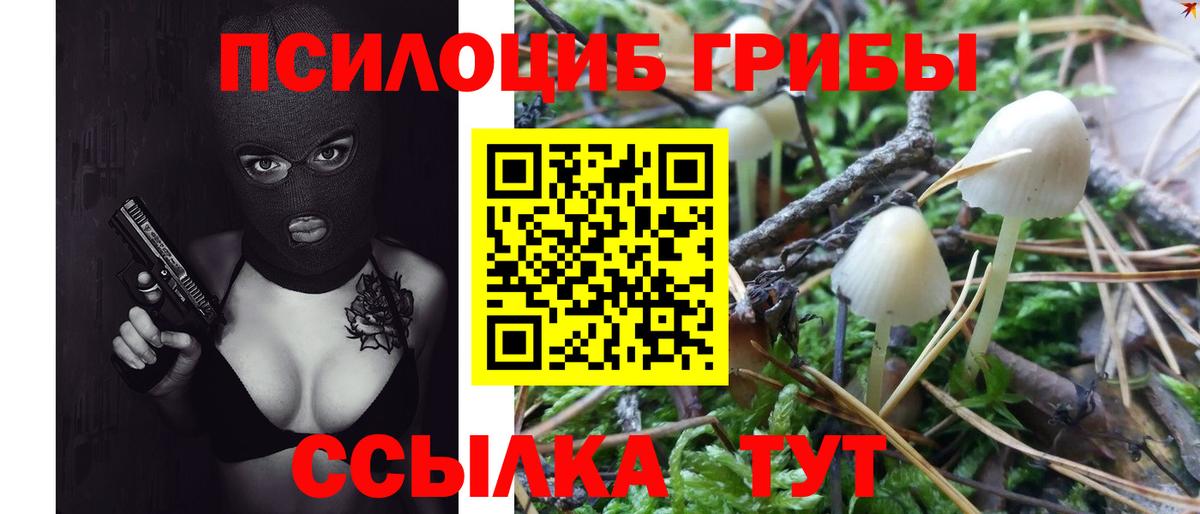 Псилоцибиновые грибы GOLDEN TEACHER  Вход с VPN  Галлюциногенные грибы Psilocybe  Карпинск 
